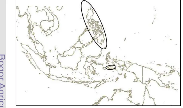 Figure 11  Distribution map of Rhynchoglossum klugioides in Malesia in the circle 