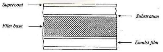 Gambar 2.8 Susunan film sinar-x emulsi tunggal (Meredith, 1977) 