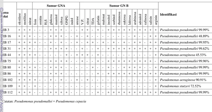 Tabel 1 Identifikasi Pseudomonas sp. CRB yang mempunyai karakter biokontrol menggunakan kit fisiologis Microgen™