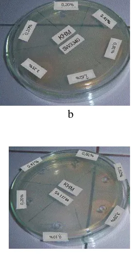 Gambar 5. 2 Diameter hambat hasil uji KHM 