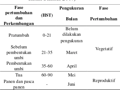 Tabel 3  Fase pertumbuhan tanaman kentang      (Dirjen Tanaman Pangan 1993 dalam Samadi 2007) 