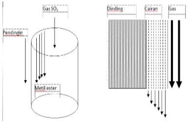Gambar 6  Skema aliran metil ester dan gas SO 3 di dalam reaktor STFR 