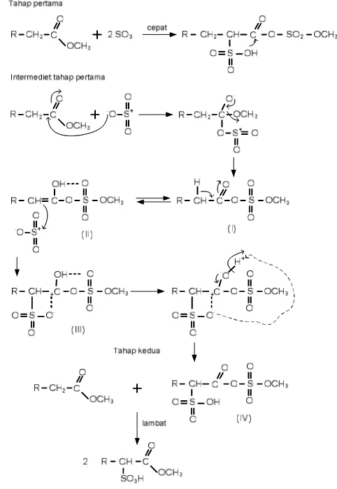 Gambar 8  Mekanisme reaksi sulfonasi ME menurut Lewandowski dan Schwuger (2003) 