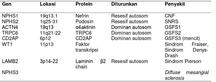 Tabel Gen-gen Penyandi Protein Podosit