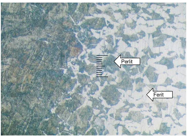 Gambar 4.1. Struktur mikro material dasar baja karbon rendah (raw material) dengan pembesaran 200x 