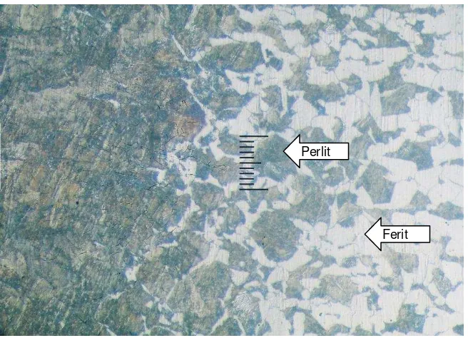 Gambar 4.1. Struktur mikro material dasar baja karbon rendah (raw 
