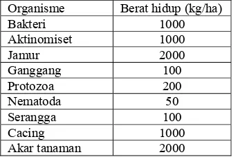 Tabel 5.  Berat Organisme Tanah  dalam Top Soil Tanah Subur  (Kedalaman 20 cm)  