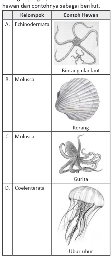 gambar objek (gambar 4).