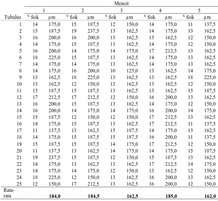 Tabel Diameter Tubulus Seminiferus Kelompok PT Dosis II 