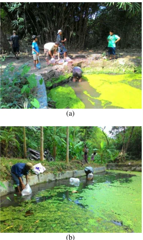Gambar 5. (a) dan (b) Kegiatan Plangisasi 