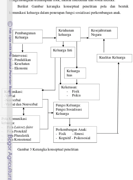 Gambar 3 Kerangka konseptual penelitian 