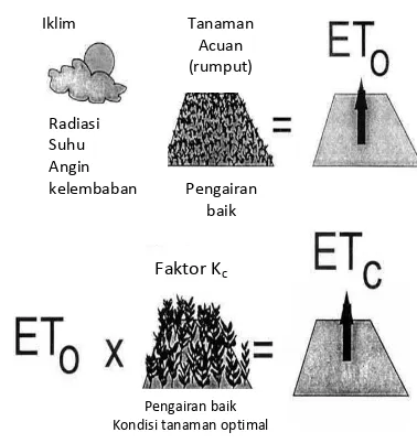 Gambar 2  Kondisi evapotranspirasi acuan  (ET0) dan evapotranspirasi tanaman (ETc) (Allen, 1998) 