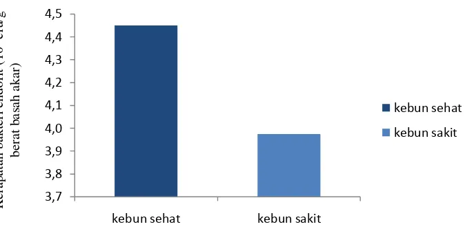 Gambar 4 Rata-rata kerapatan bakteri endofit pada akar pertanaman lada di Kabupaten Bangka Tengah 