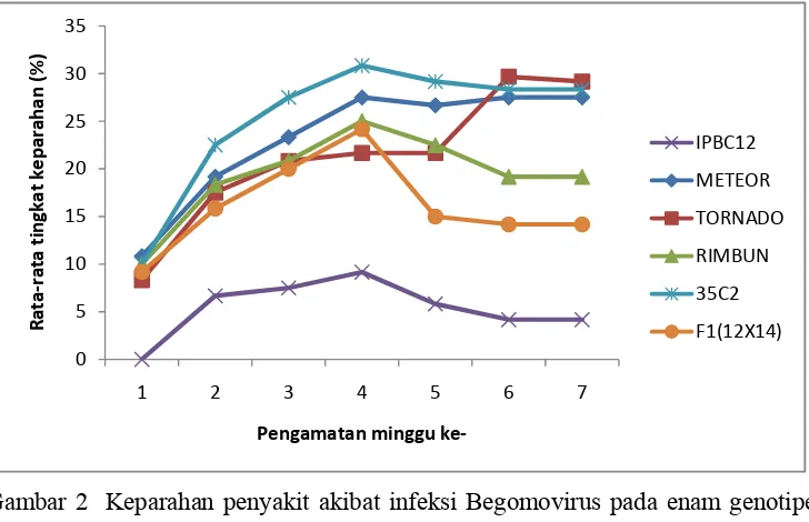 Tabel  4 Kisaran keparahan penyakit akibat infeksi Begomovirus pada enam 