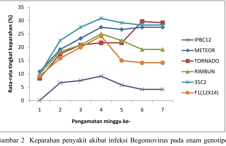 Tabel  4 Kisaran keparahan penyakit akibat infeksi Begomovirus pada enam 