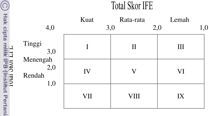 Gambar 4. Matriks IE 