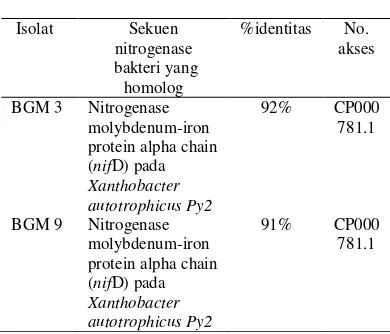 Tabel 1 Hasil analisis sekuen gen nifD 
