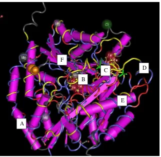 Gambar 4 Struktur kuartener nitrogenase Fe-Mo Alpa dengan  menggunakan program Cn3D 4.1 (Keterangan : Warna kuning  = Interaksi Fe-Mo sub unit alpa and beta, A = dimer protein Fe-Mo, B = residu FeMoCo terikat, C = residu kluster P sub unit alpa terikat , D = Fe-Mo sub unit alpa/ kontak protein Fe, E = helix alpa, dan F = lembar beta ).