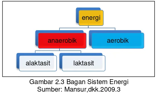 Gambar 2.3 Bagan Sistem Energi 