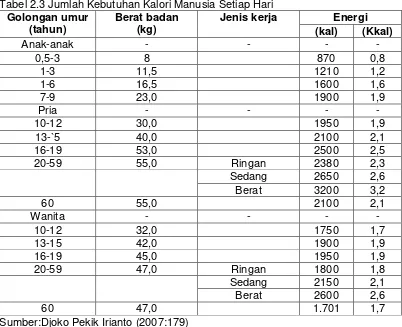 Tabel 2.3 Jumlah Kebutuhan Kalori Manusia Setiap Hari 