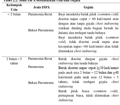 Tabel 2.2: Jenis ISPA berdasarkan Usia dan Gejala 