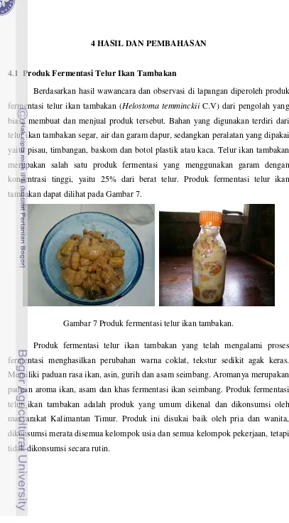 Gambar 7 Produk fermentasi telur ikan tambakan. 