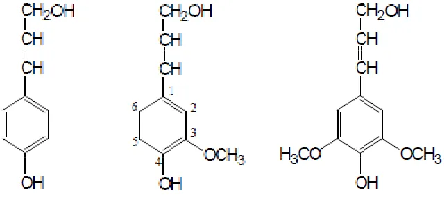 Gambar II.2. Struktur (1) p-kumaril alkohol (unit p-hidroksifenil), (2) koniferil 