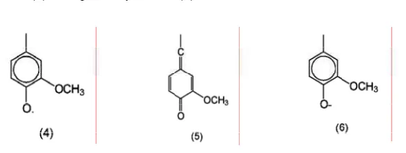 Gambar II.3. Struktur natrium lignosulfonat (Collepardi 2005) 