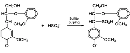 Gambar II.4. Reaksi sulfonasi yang terjadi di gugus quinonemethide