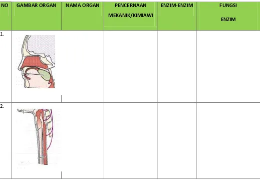 GAMBAR ORGAN 