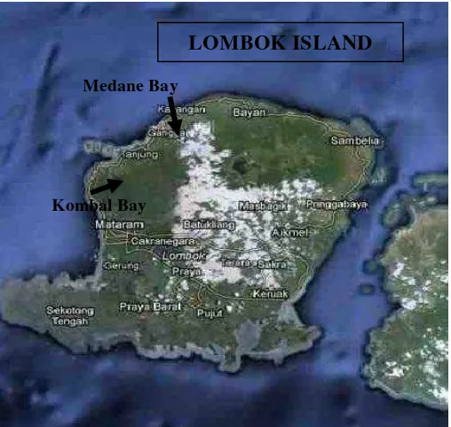 Figure 2. Kombal and Medane Bay Location in Lombok Island  