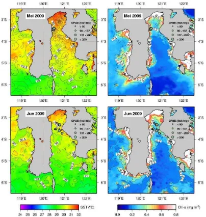 Figure 2.  The spatial distribution of Skipjack CPUE (Skipjack/Fishing-Boat Days) from Pole and Line fishery overlain on MODIS SST in May  and June  (left) and MODIS Chl-a in May and June  (right) 2009