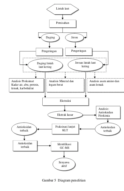 Gambar 5  Diagram penelitian 