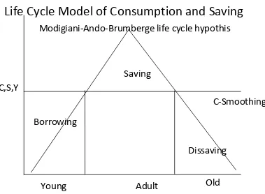 Gambar 7.  Life Cycle Hypothesis 