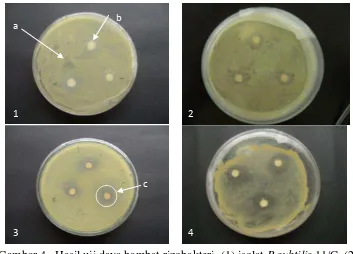 Gambar 4   Hasil uji daya hambat rizobakteri. (1) isolat B.subtilis 11/C, (2) 