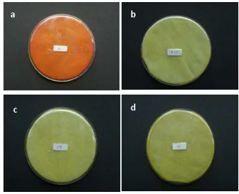 Gambar 5  Produksi HCN oleh isolat P. diminuta A6 pada media Glisina. 