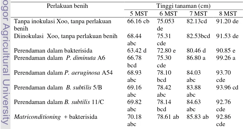 Tabel 14  Pengaruh perlakuan benih  terhadap tinggi tanaman  pada umur 5-8 