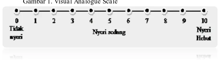 Gambar 1. Visual Analogue Scale 