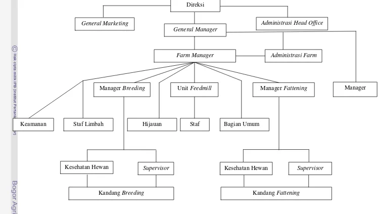 Gambar 1.  Struktur Organisasi PT Lembu Jantan Perkasa (Sumber : Arsip PT Lembu Jantan Perkasa) 