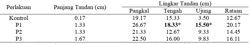 Tabel 2. Nilai Tengah Pertambahan Panjang Tandan dan Lingkar Tandan pada Klon Pisang Tipe Pendek pada 8 MSP
