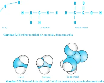 Gambar 5.4 Struktur molekul air, amoniak, dan asam cuka
