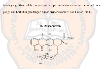 Gambar 1. Struktur Doksorubisin (Long, Hai dan Xian, 2005). 