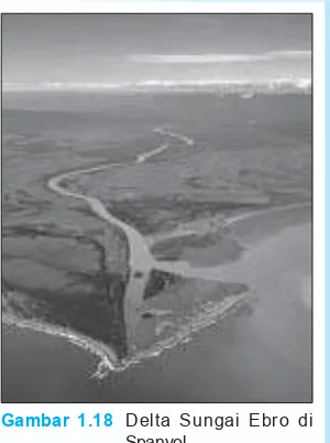 Gambar 1.18 Delta Sungai Ebro di