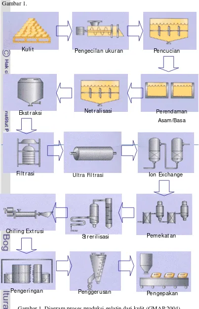 Gambar 1  Diagram proses produksi gelatin dari kulit (GMAP 2004). 