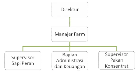 Gambar 2. Sruktur Organisasi CV. Cisarua Integrated Farming (2011) 