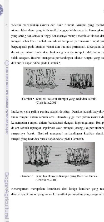 Gambar 5  Kualitas Tekstur Rumput yang Baik dan Buruk 