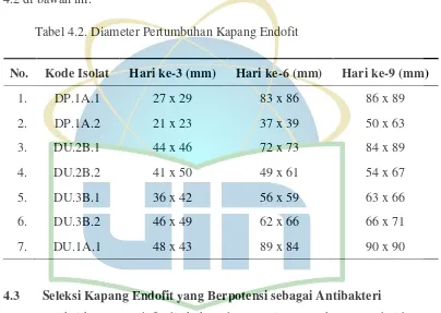 Tabel 4.2. Diameter Pertumbuhan Kapang Endofit  
