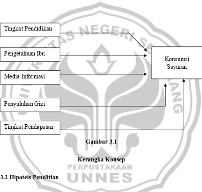 Gambar 3.1 Kerangka Konsep 