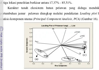 Gambar 16  Interaksi pertumbuhan jamur pelawan dengan komponen tanah 