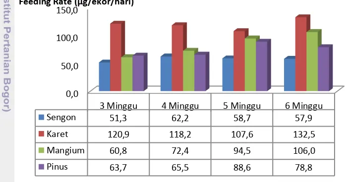 Gambar 4 Nilai rata-rata feeding rate pada masing-masing minggu. 